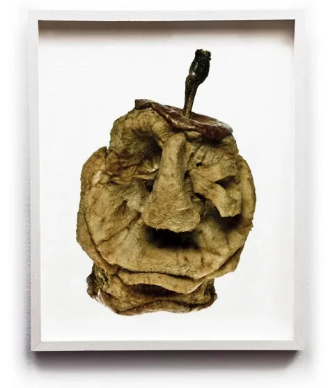 A dried apple carved into a scowling face, its stem on top, in a white frame