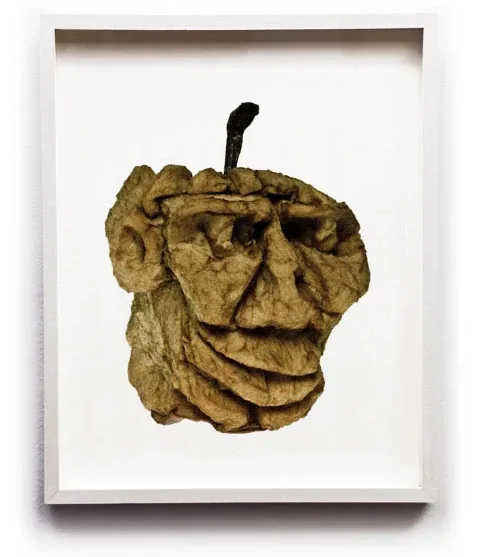 A dried apple face with deep-set eyes and a long nose