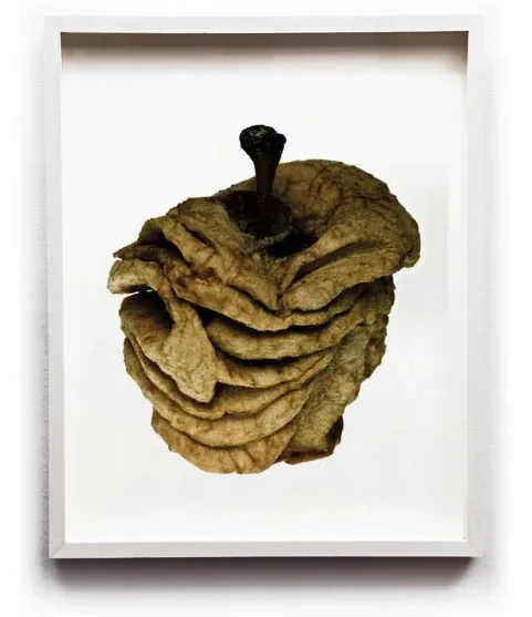 A dried apple face wrinkled into folds