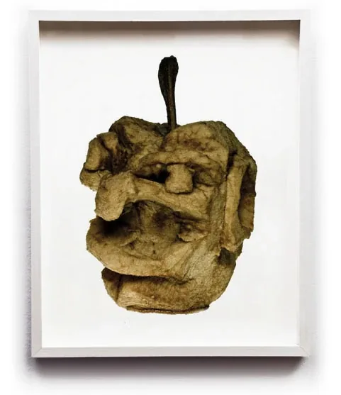 A dried apple face with an open mouth