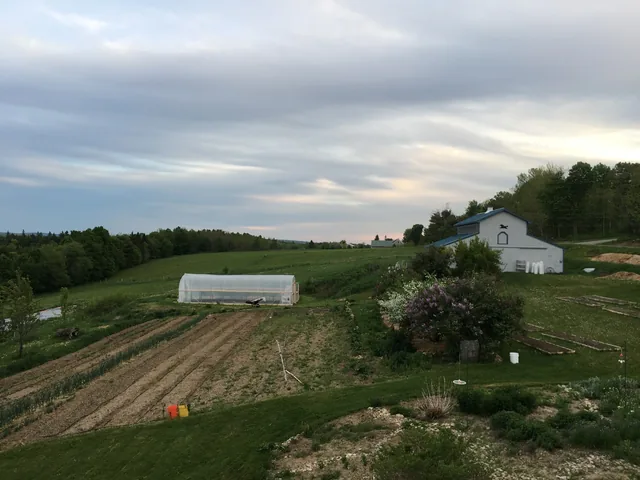 The farm at dusk under a gray-blue sky: tilled rows of young plants, a white hoop house, lilacs in bloom and a white barn with a blue roof