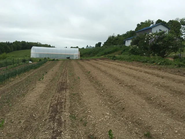 Freshly tilled rows of brown soil running toward a white hoop house, with a house among lilacs on the hill beside it