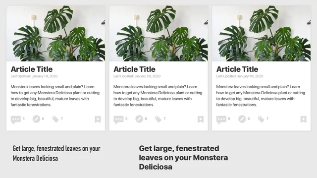 Three trial article cards, each with a monstera photo, a title, a date, a short summary and counts of comments, edits and tags, above the same headline set in two typefaces