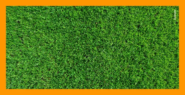 The beach blanket’s print file: a close-up photograph of a green lawn filling the blanket inside an orange border, with a small white example wordmark running up the right edge