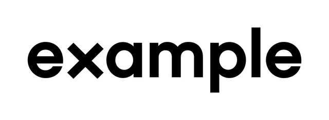 The Example wordmark: example in bold, rounded lowercase letters with a sharp, angular x