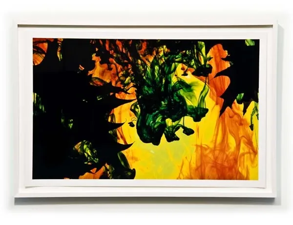Black and green plumes over yellow and orange, framed