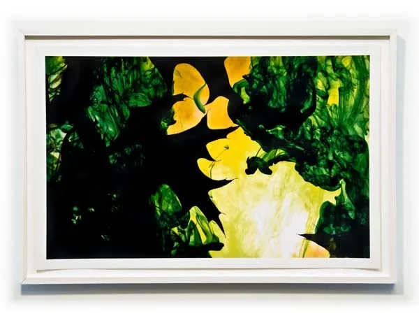 Green and yellow shapes around black, in a white frame
