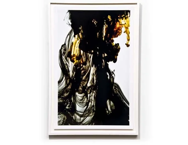 A tall black plume on white, framed