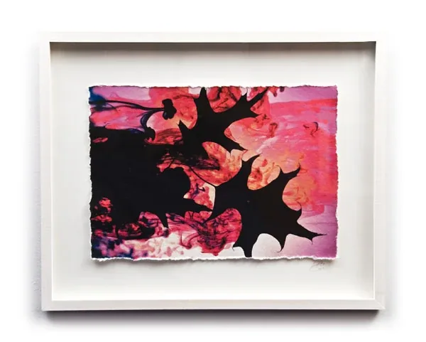 A framed print: a black starburst over pink