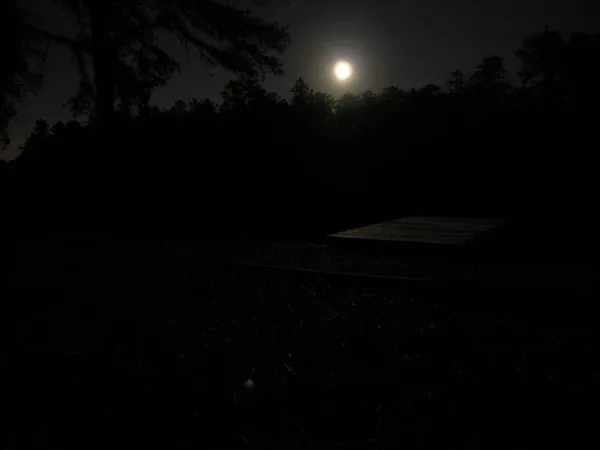 The moon over a dark treeline and still water at night