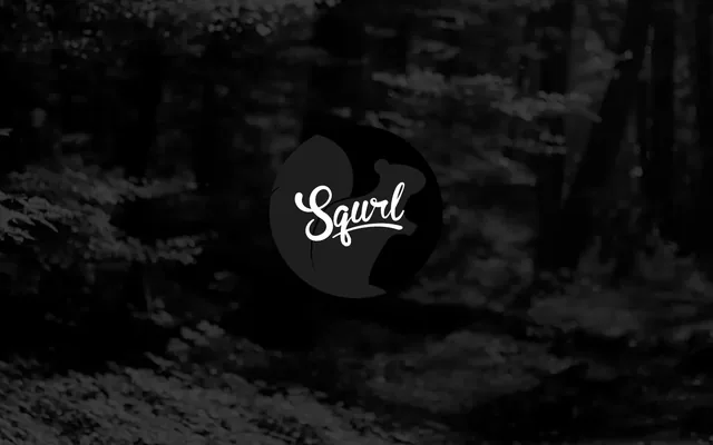 The Squrl Trading website: the round Squrl logo alone in the middle of a dim black-and-white forest path